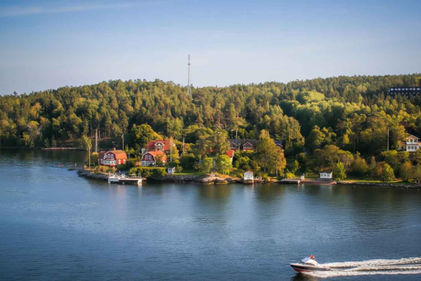 Visita Guiada al Museo Vasa con Entrada