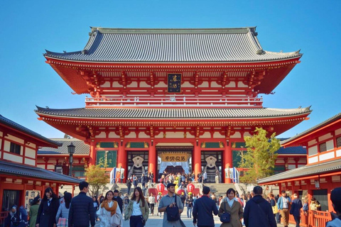 Tokyo: Private 1-Day Tour with English-Driver, Customizable