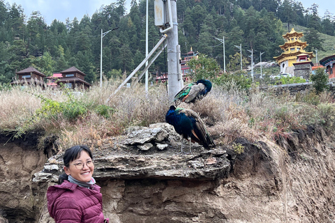 Paisagens Sagradas: Explorando Aglag Buteel