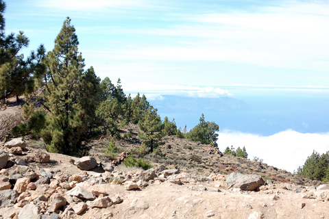 Teide Volcano Ride (Arafo) - Electric Bike Tour