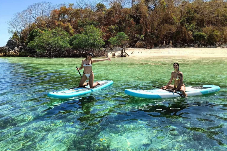 Trimarano privato di lusso a Coron / Pranzo gourmet e snorkeling