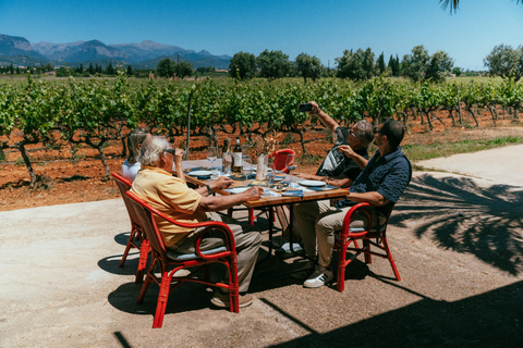Mallorca: tour door wijnmakerij Bodegas Ángel met wijnproeverij