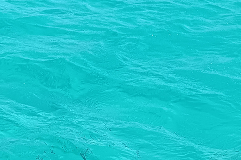 Thessaloniki: Halkidiki Beaches Tour with Swimming