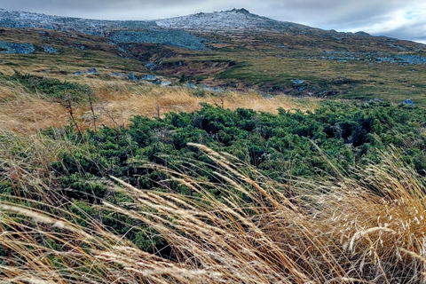 Sofia from above: Vitosha Mountain Private Hike
