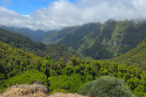 Madeira: Pico do Arieiro Sunrise, Waterfalls, and Fanal Trip