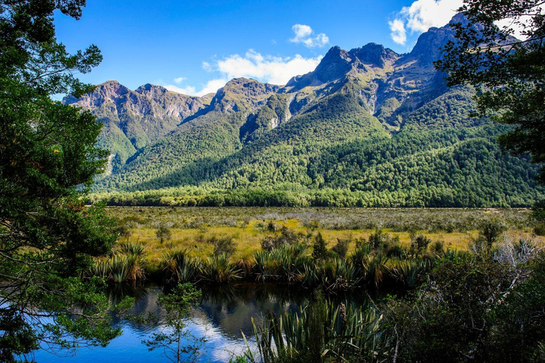 Queenstown: Milford Sound Private Tour