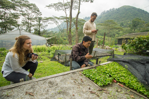 Upplevelse av kaffeodling på La Palma &amp; El Tucán från Bogotá