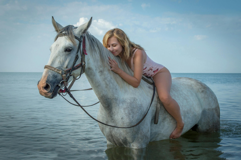 St Lucia: Private Sunset Beach Horse Ride + Pickup available