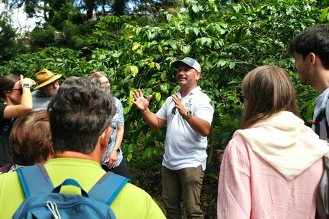 Boquete: Geisha Coffee Plantation Tour with Tasting