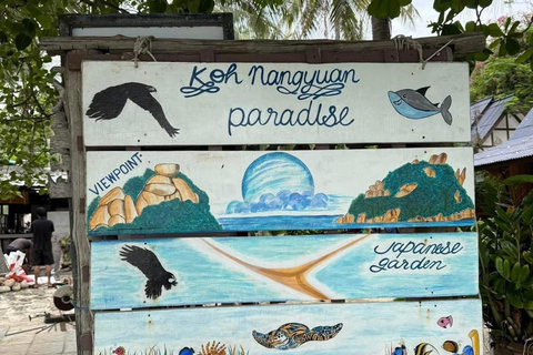Koh Tao: Snorkeling Tour, Small-Group with Lunch & Transfer