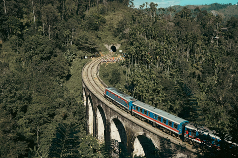 Ella: Visita guiada de um dia com visita a uma propriedade de chá