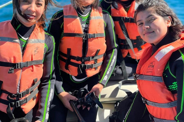 La Paz: Espíritu Santo Sea Lion Snorkel with Starlink Wi-Fi Without Pick Up and Drop Off