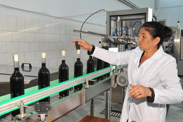 Fergana: Winegarden Winery Tour and Tasting