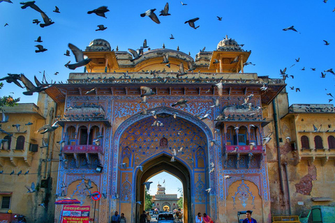 Tour privado nocturno de Jaipur con puesta de sol en el Templo de los MonosVisita nocturna a Jaipur en coche