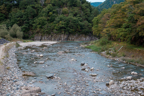 Kanazawa: Shirakawa-go privé-dagtour met lunch