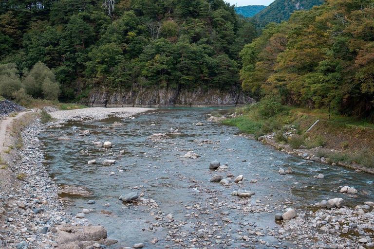 Kanazawa: Shirakawa-go privé-dagtour met lunch