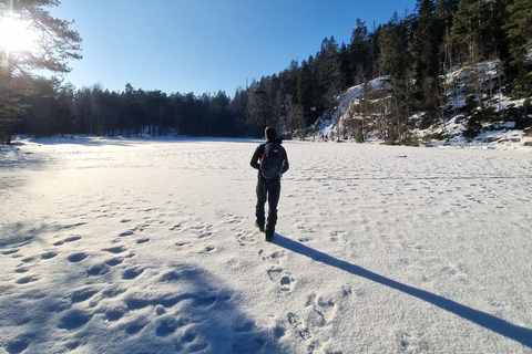 Panoramagipfel – Oslos beste Wanderung mit Blick auf die FjordePanoramische Gipfel – Oslos beste Wanderung mit Fjordblick