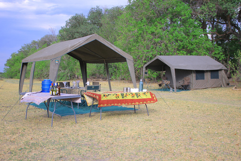 Norte de Botsuana: Safari con safaris y paseo en barco