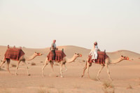 Dubai, Deset Ride, Camel Riding, Sandboard & Buffet Diner - Hizvo