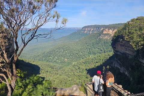 Sydney: Blue Mountains Guided Hike with Lunch & Pickup