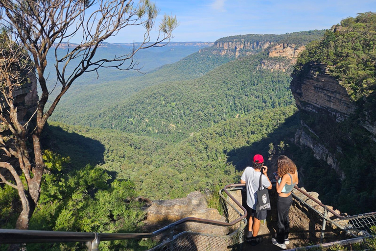 Sydney: Blue Mountains Guided Hike with Lunch & Pickup