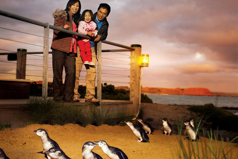 De Melbourne: Phillip Is Penguin Parade &amp; Koala Reserve