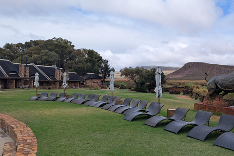 Cape Town Big 5 afternoon safari with lunch and transport