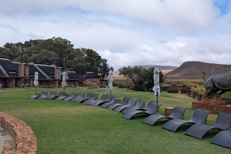 Cape Town Big 5 afternoon safari with lunch and transport