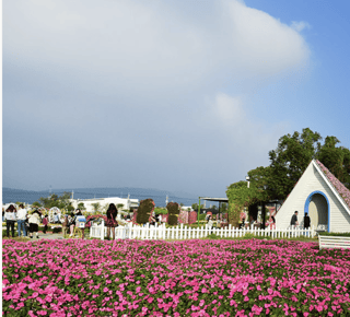 Day Trips and Tours from Taichung