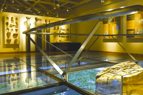 Private Guided Day Tour of Sigiriya & Dambulla