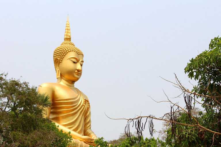 Best of Pattaya Guided Tour with Floating Market