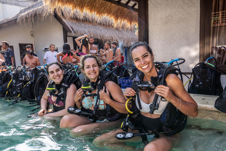 Manta Dive Gili Trawangan : Cours d&#039;eau libre