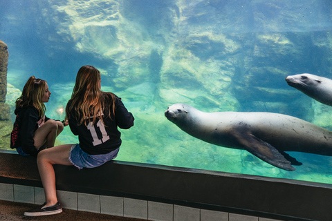 Los Angeles: Företrädesbiljett till Aquarium of the Pacific