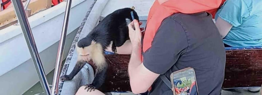 Panama : L'île aux singes, le sanctuaire des paresseux et la visite du lac Gatun