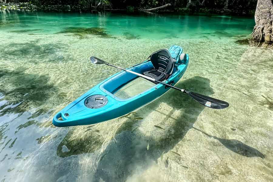 Silver Springs: Glasbodenkajak und Wildlife Tour. Foto: GetYourGuide