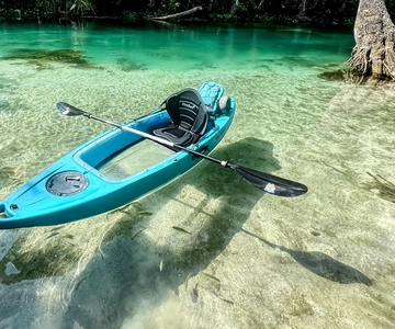 Silver Springs: Kajak med glasbotten och tur med vilda djur