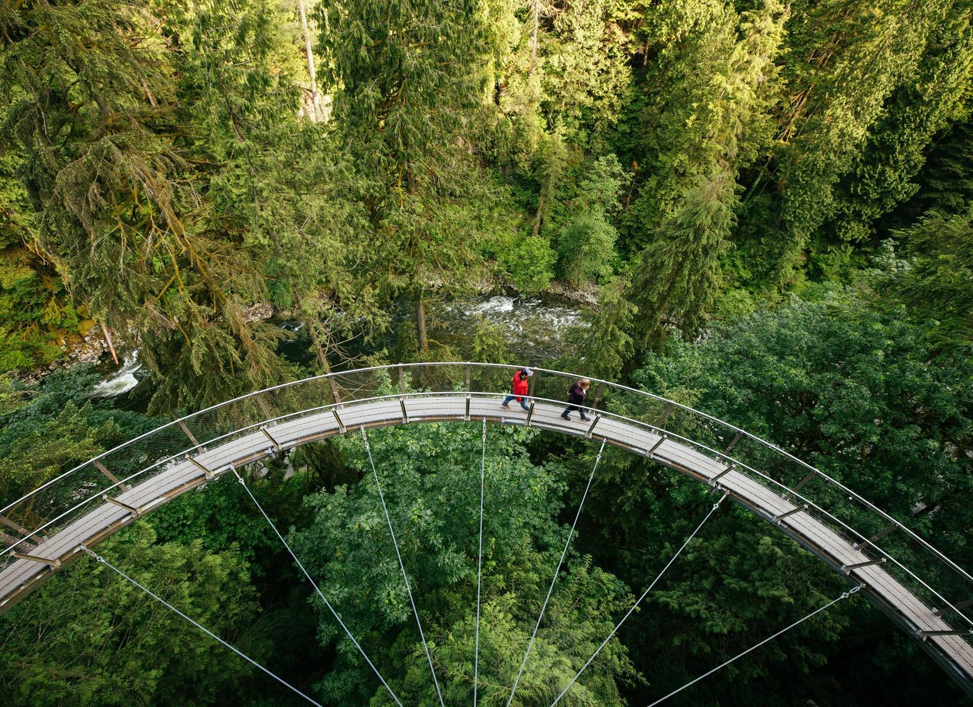 Vancouver: Capilano Suspension Bridge Park billet
