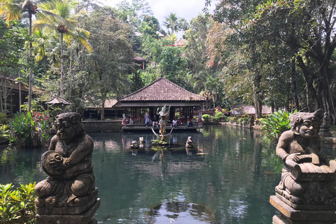 Ubud:Foresta delle scimmie, terrazze di riso, templi d&#039;acqua e cascate