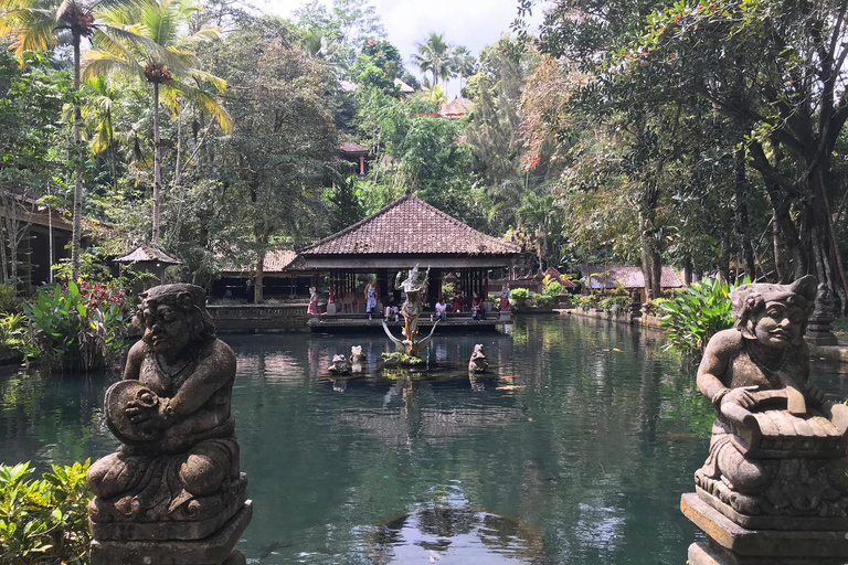 Ubud:Foresta delle scimmie, terrazze di riso, templi d&#039;acqua e cascate