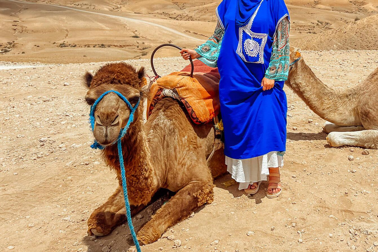 Marrakech: Tagespass in der Wüste, Schwimmbad und Mittagessen