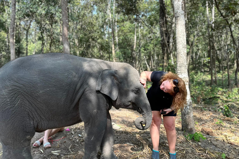 Chiang Mai 2-Day: Good Morning Elephant & Overnight Homestay