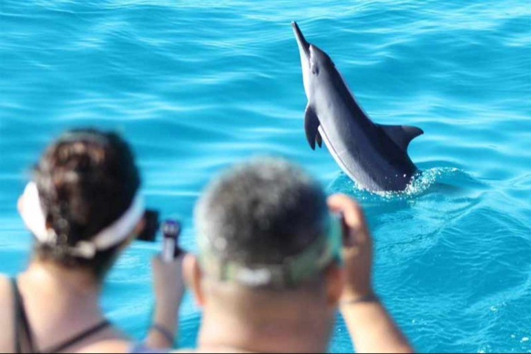 Muscat : Dolphin Watching Trip & Jet Ski Ride Adventure