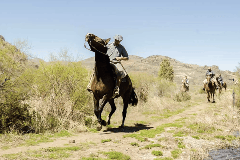 Bariloche: Patagonia Horseback Ride with Lunch & Pickup