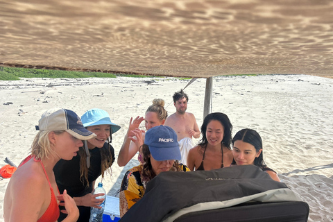 Huatulco: Surf Lesson with surf instructor. All Levels