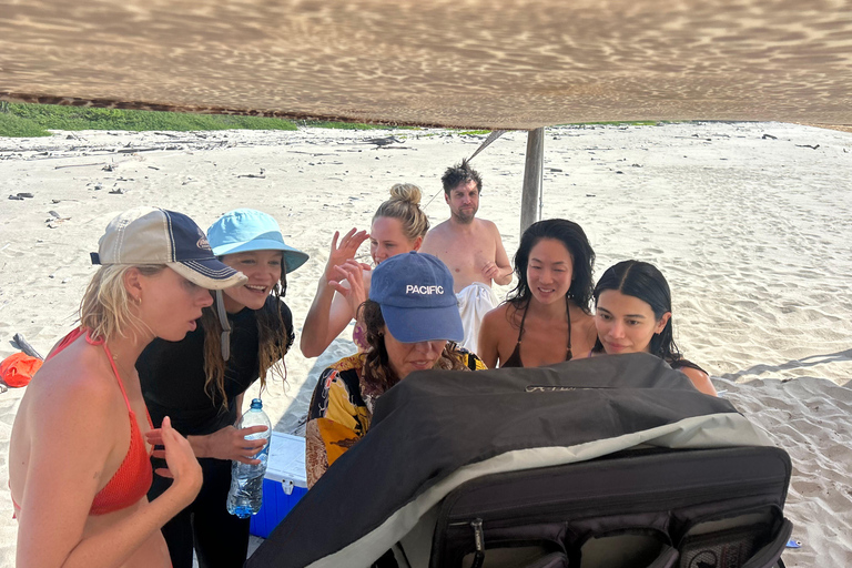 Huatulco: Surf Lesson with surf instructor. All Levels