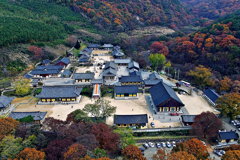 Busan: Miryang Day Tour with Apple Makgeolli Experience