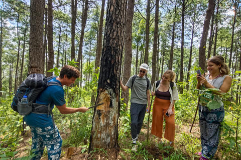 Chiang Mai: One Day Eco-Trek, Elephant care & Bamboo Rafting
