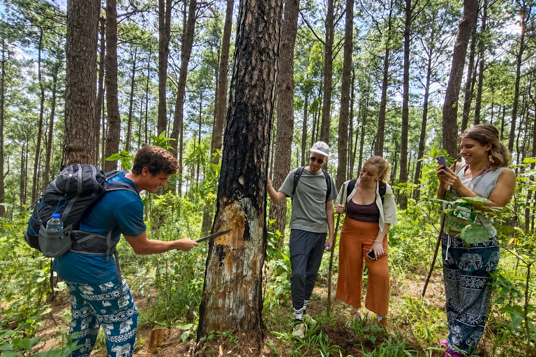 Chiang Mai: One Day Eco-Trek, Elephant care & Bamboo Rafting