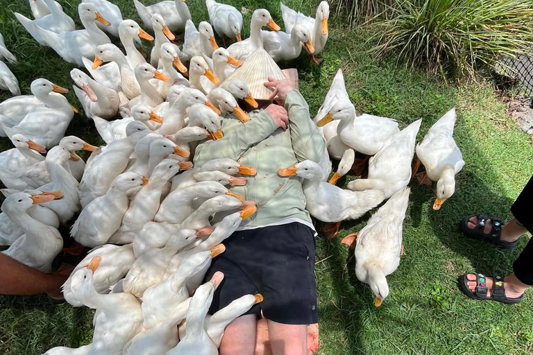 Hoi An: Funny Duck Stop Countryside Fun Farm Visit