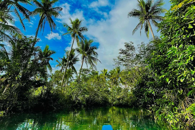 Recorridos por tierra